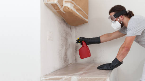 Professional Crawl Space Mold Removal technician working in Somerset, NJ
