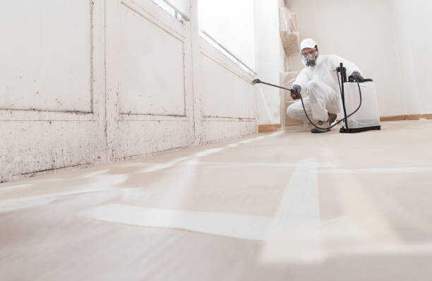 24/7 Emergency Crawl Space Mold Removal experts in Somerset, NJ