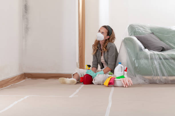 Reliable Mold Remediation contractor in Somerset, NJ by Cheap Mold Removal